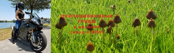 mdpv Магадан