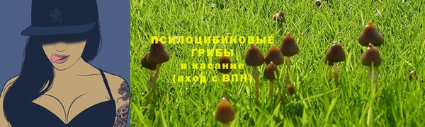 тгк Лиски
