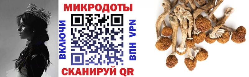 это формула  Рязань  Псилоцибиновые грибы MAGIC MUSHROOMS  цены  