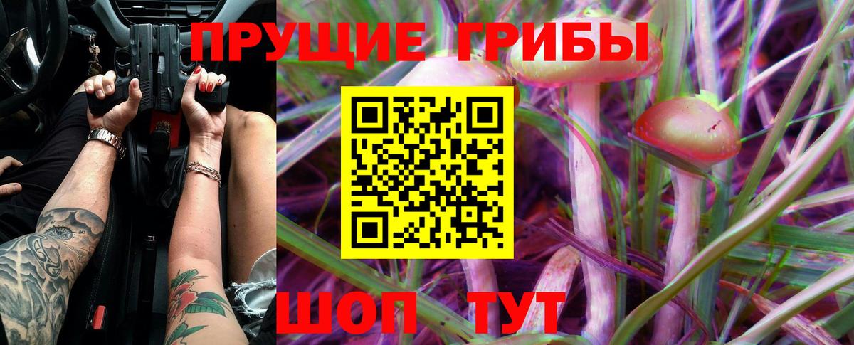 Галлюциногенные грибы Psilocybe Рязань
